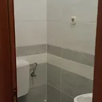 Dinastija