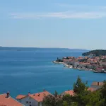 Dinastija *