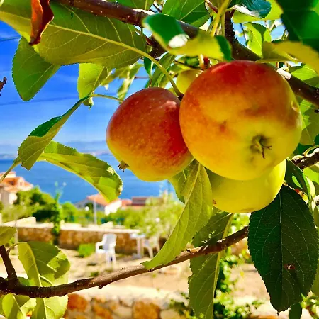 Dinastija Appartement *