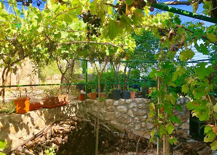 Appartement Dinastija Kali