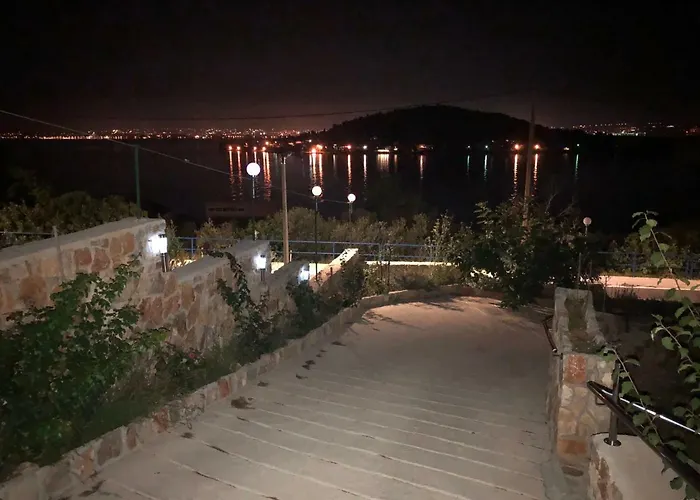 Dinastija *