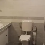 Dinastija *