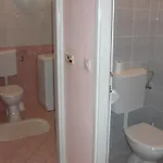 Dinastija *