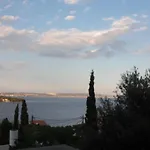 Dinastija *