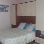 Dinastija