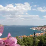 Dinastija *