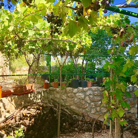 Apartment Dinastija Kali
