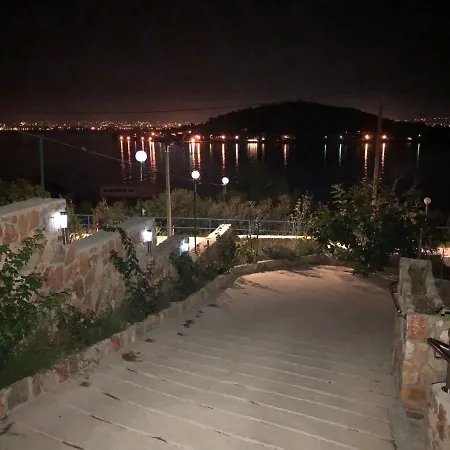 Dinastija *