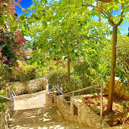 Dinastija Kali