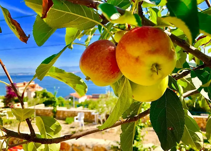 Dinastija Apartment *