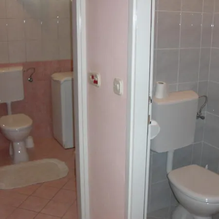 Dinastija *