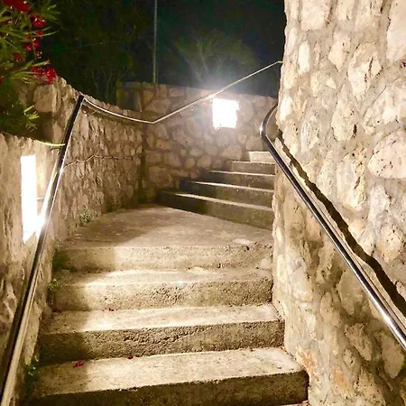 Dinastija Lejlighed Kali